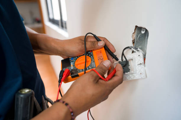 Best Ceiling Fan Installation Electrician  in Tok, AK